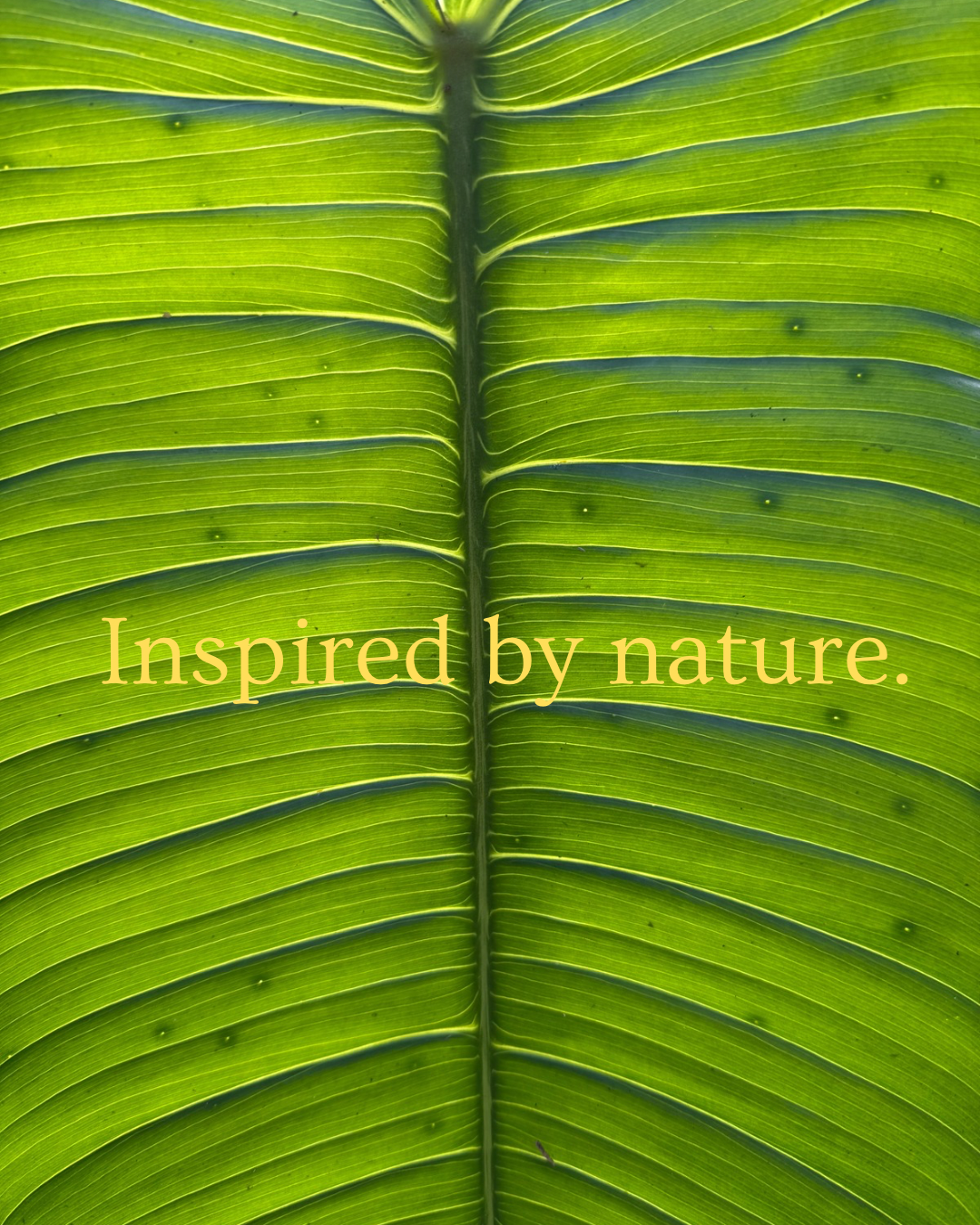 Organic Mineral Surf Paste – Vegan, Reef-Safe, Water-Resistant for Surfers - Bundle Pack: (Tan + Light tan)